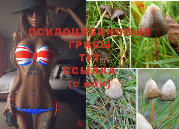 бошки Баксан