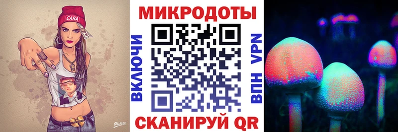 где продают наркотики  Катайск  Псилоцибиновые грибы GOLDEN TEACHER 